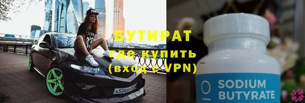 сатива Верея