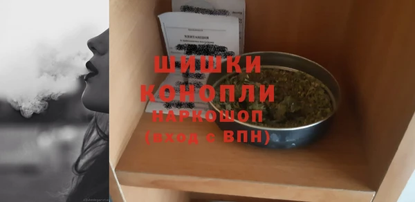 сатива Верея