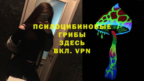 мяу мяу мука Бородино